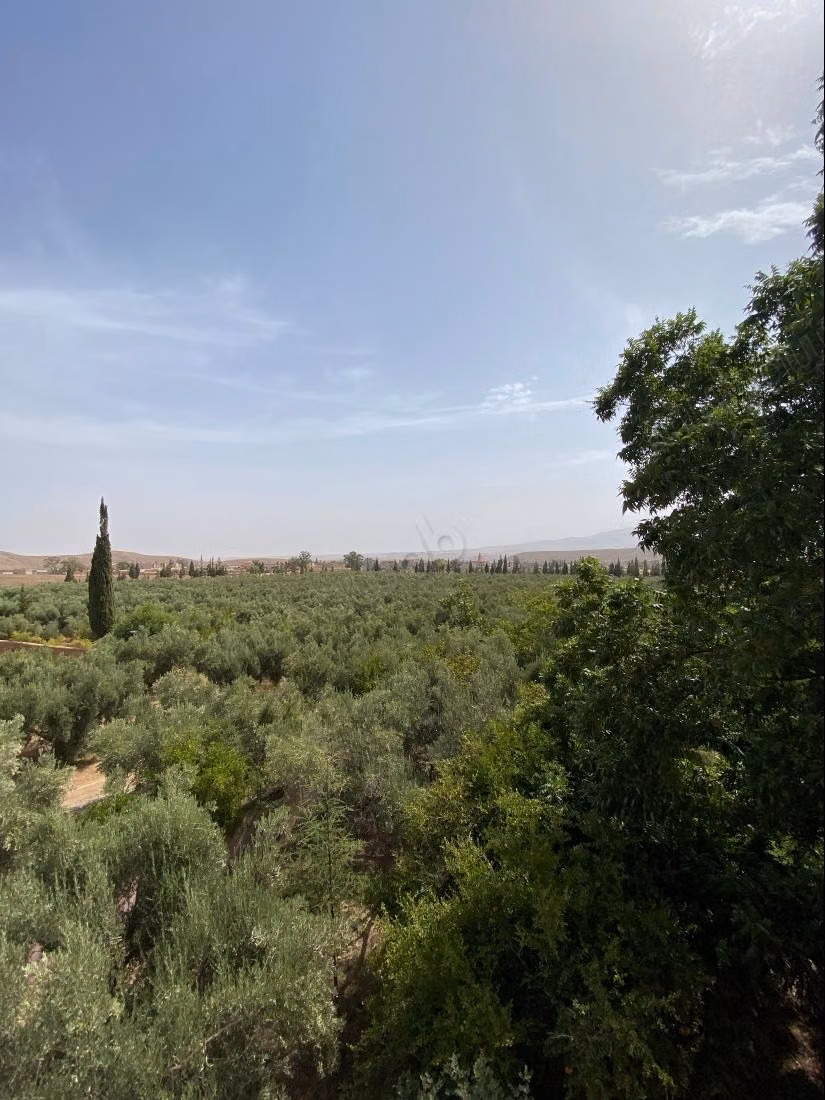 Trouvez votre ferme à acheter à Route Amizmiz.
Surface totale 58450 m²