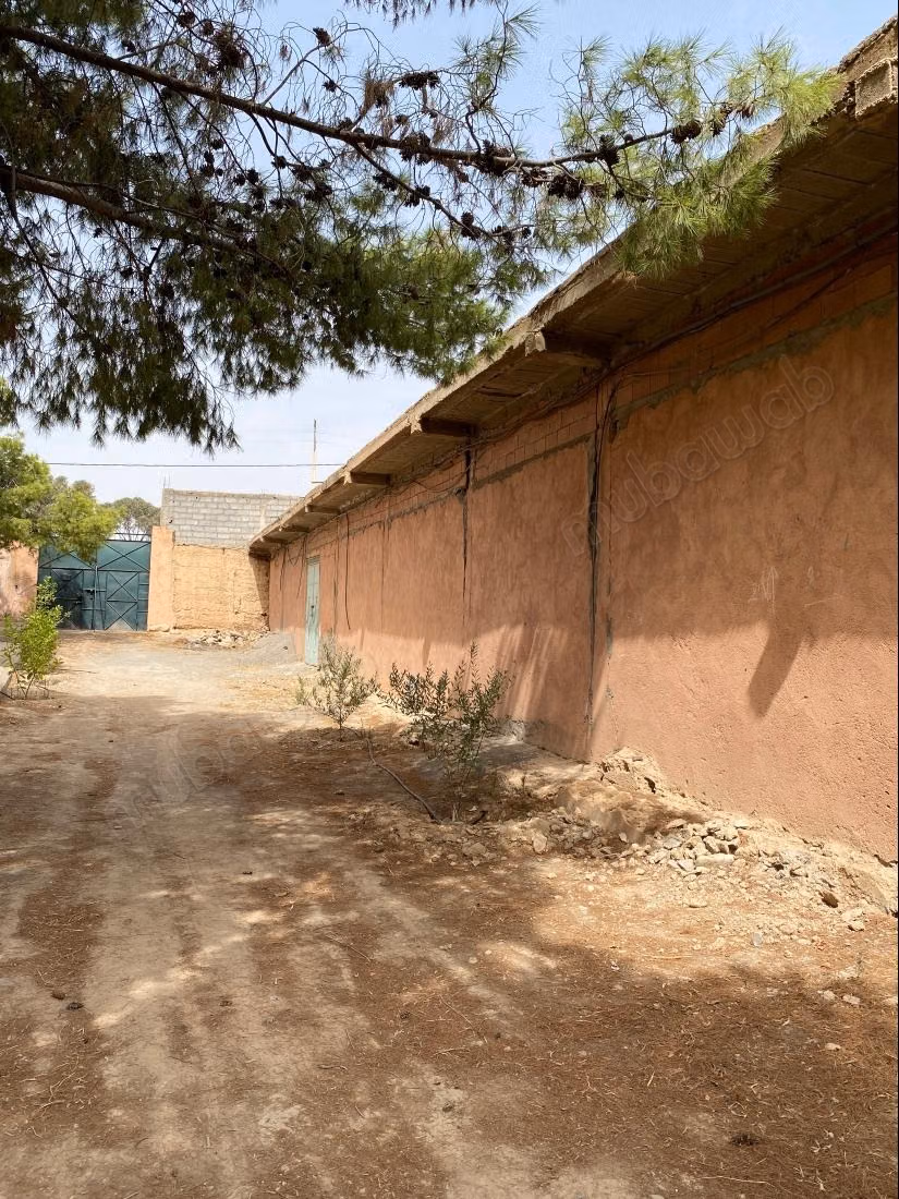Trouvez votre ferme à acheter à Route Amizmiz.
Surface totale 58450 m²