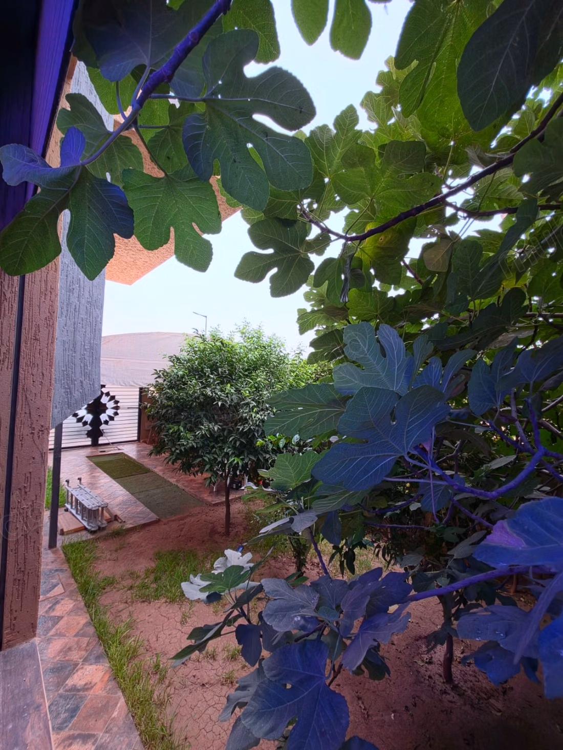 Villa Te Huren Voor Lange Termijn TARGA POORT MARRAKECH