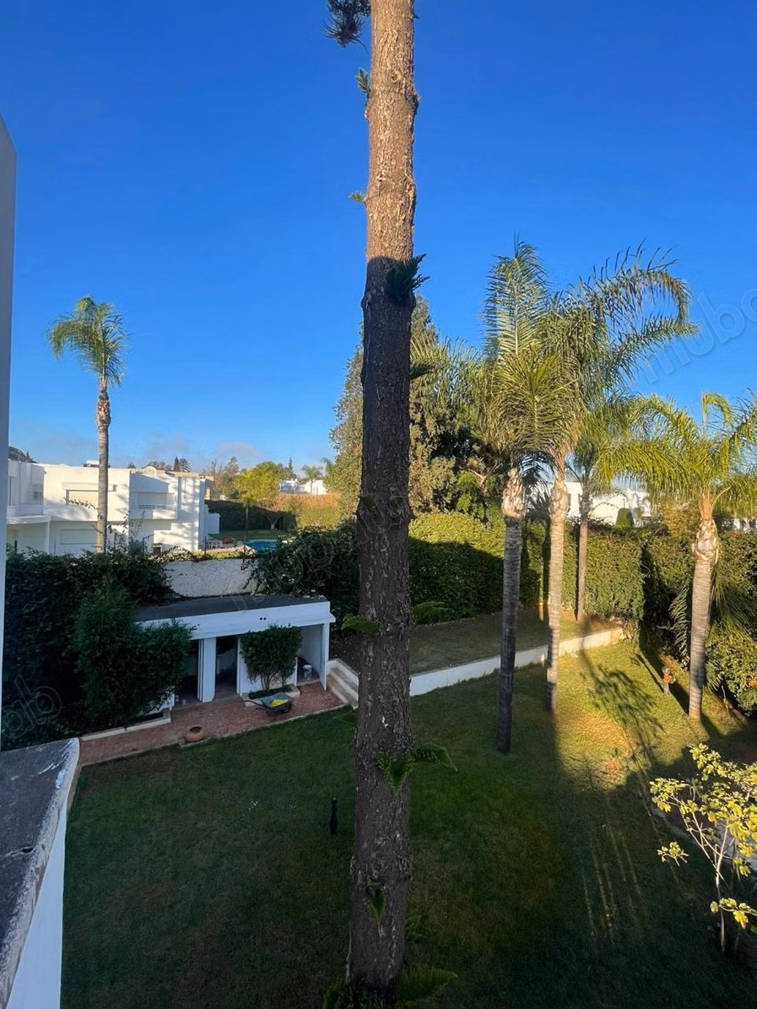 Casa rara nel cuore della California