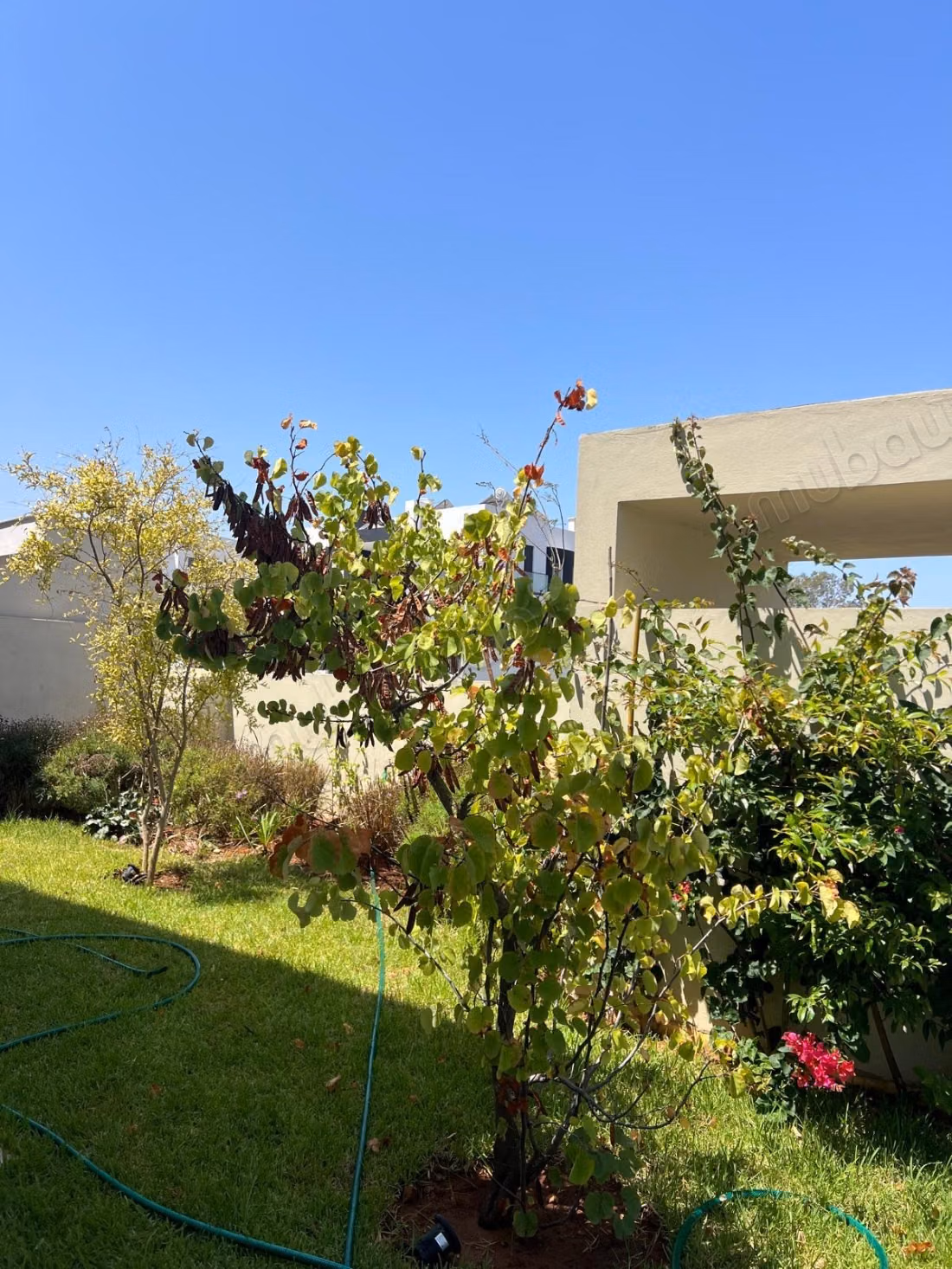 Villa Eccezionale Arredata in Affitto a Bouznika