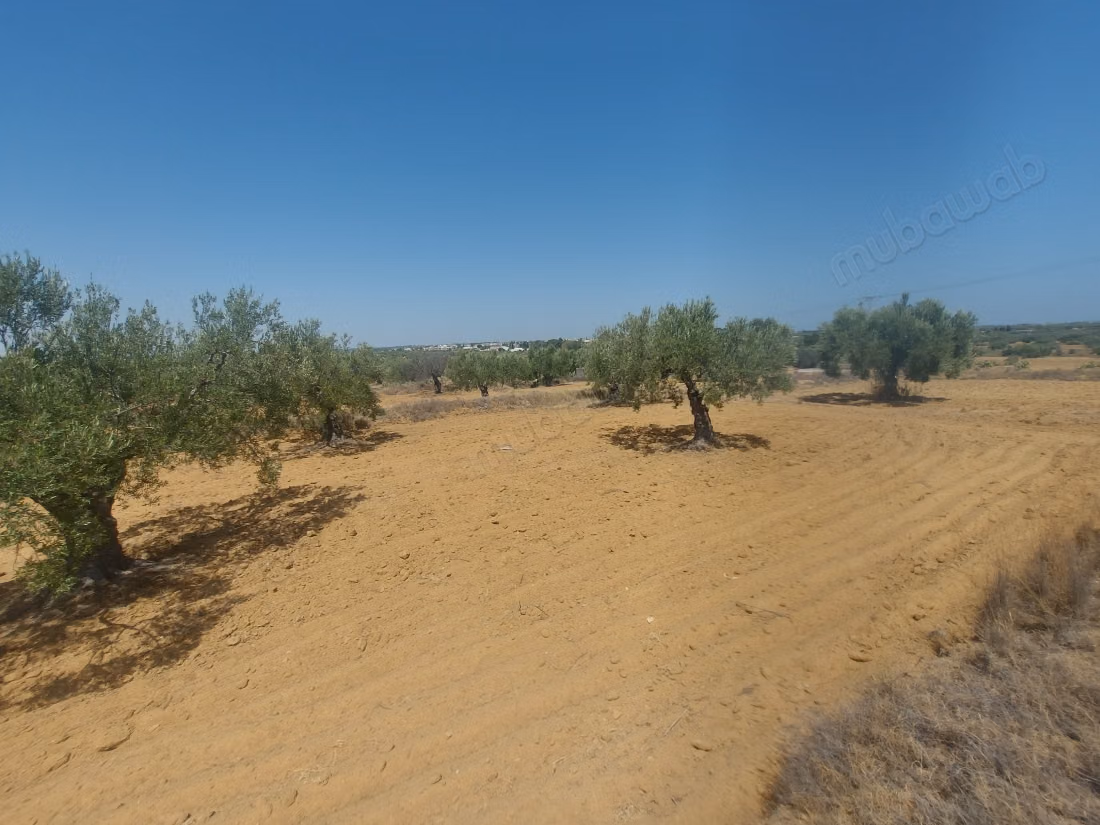 For sale - Agricultural land of 5951 m²