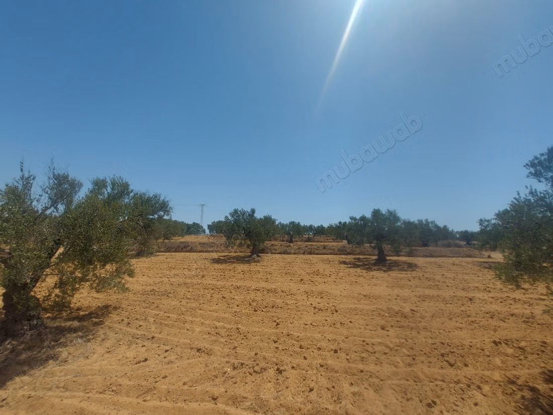 For sale - Agricultural land of 5951 m²