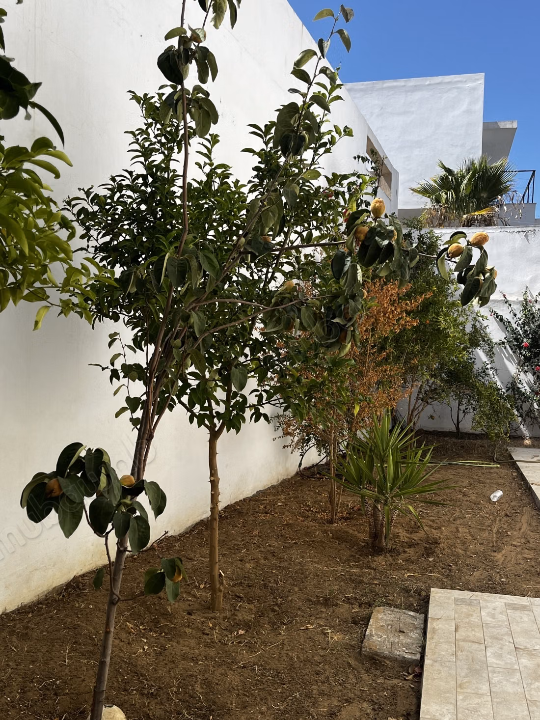 A vendre villa haut standing R4