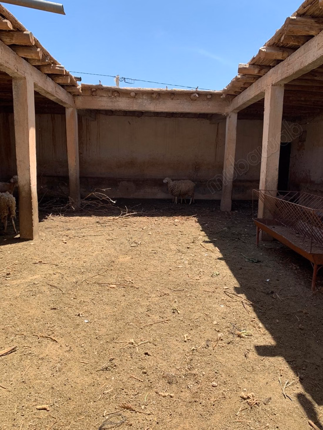Fermette à vendre
