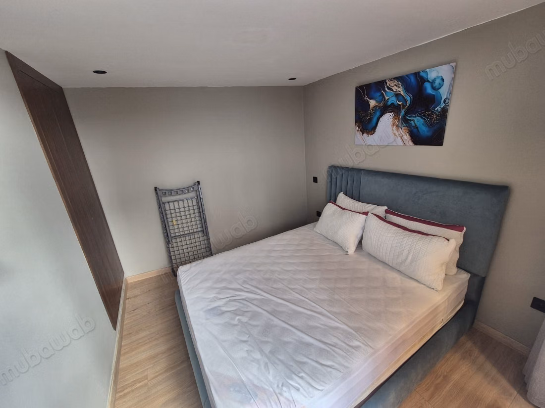 T2 meuble de 54 m2 1 chambre