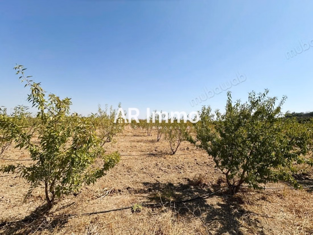 A vendre Ferme Agricole de 5 Hectares