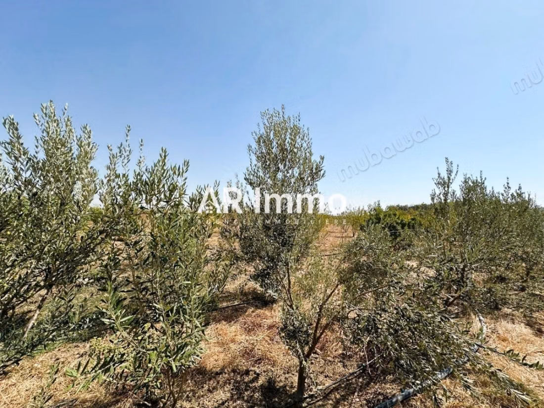 A vendre Ferme Agricole de 5 Hectares