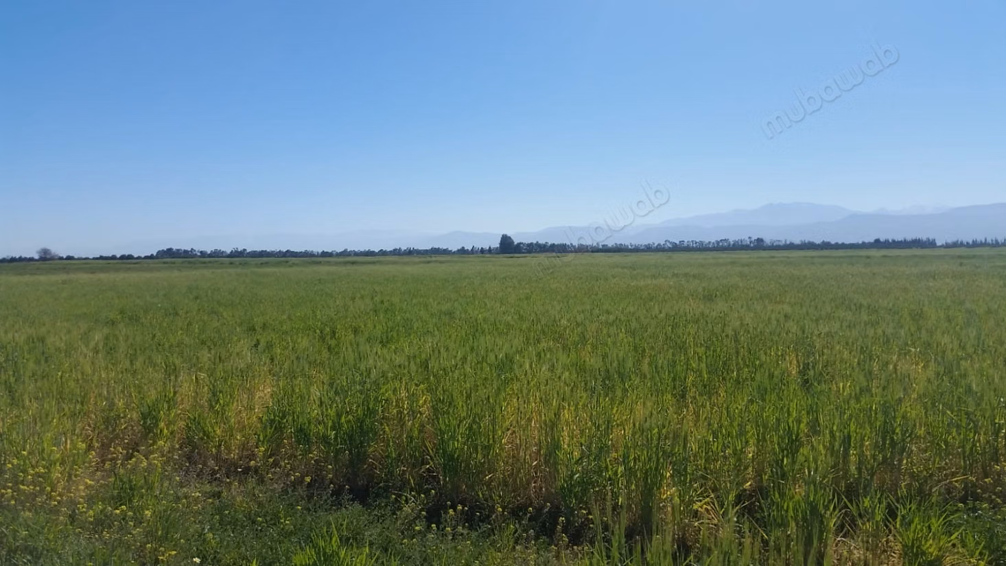 Terrain à la vente à Chichaoua. Surface totale 306600 m²