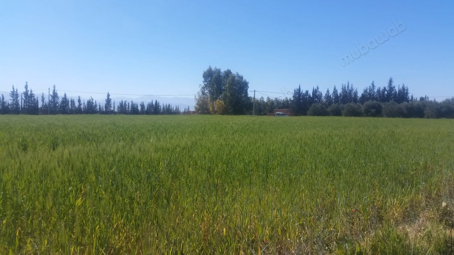 Terrain à la vente à Chichaoua. Surface totale 306600 m²