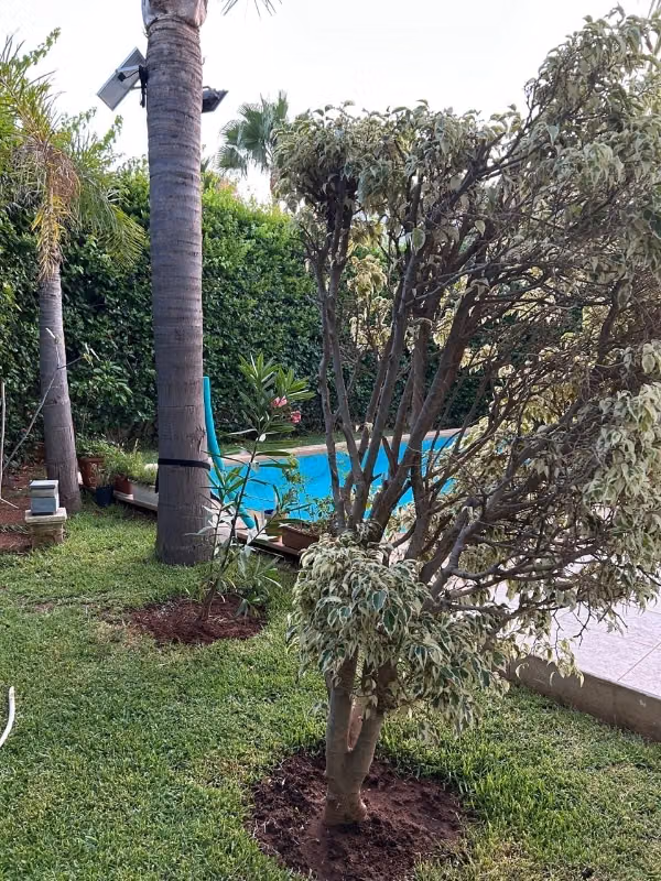 Luxe villa te koop in Riyad. 11 comfortabele kamers. Conciërgedienst, open haard