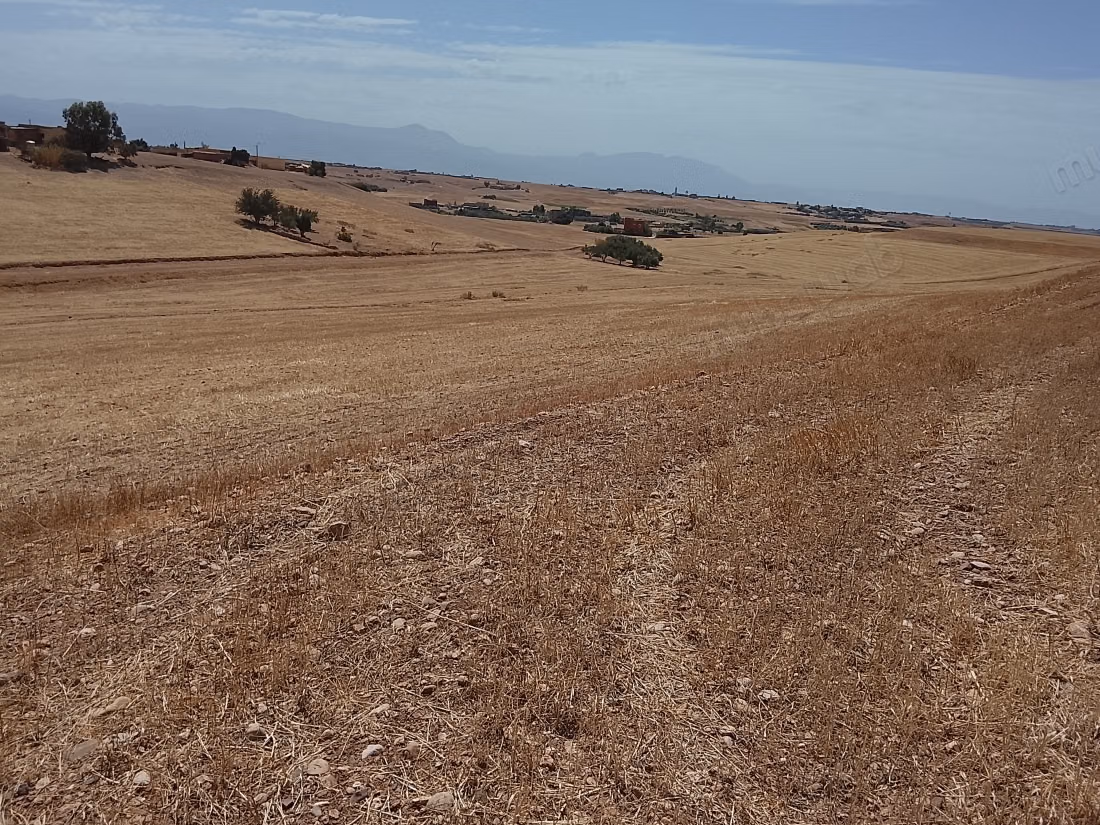 Terrain en vente à Kasba Tadla.
Superficie 39500 m²