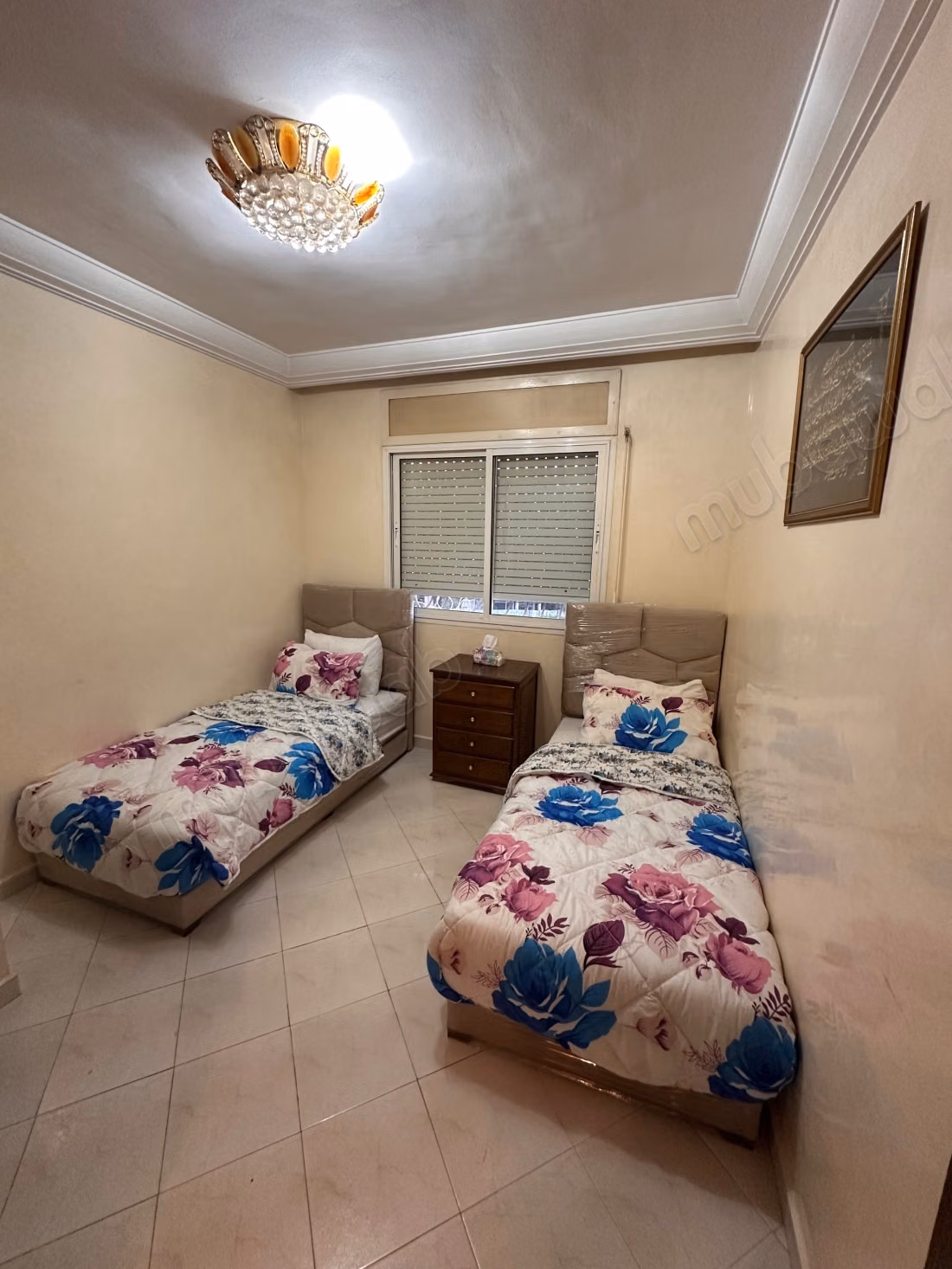Appartement meublé à BELVÉDÈRE