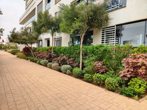 Very nice FURNISHED apartment for rent CFC