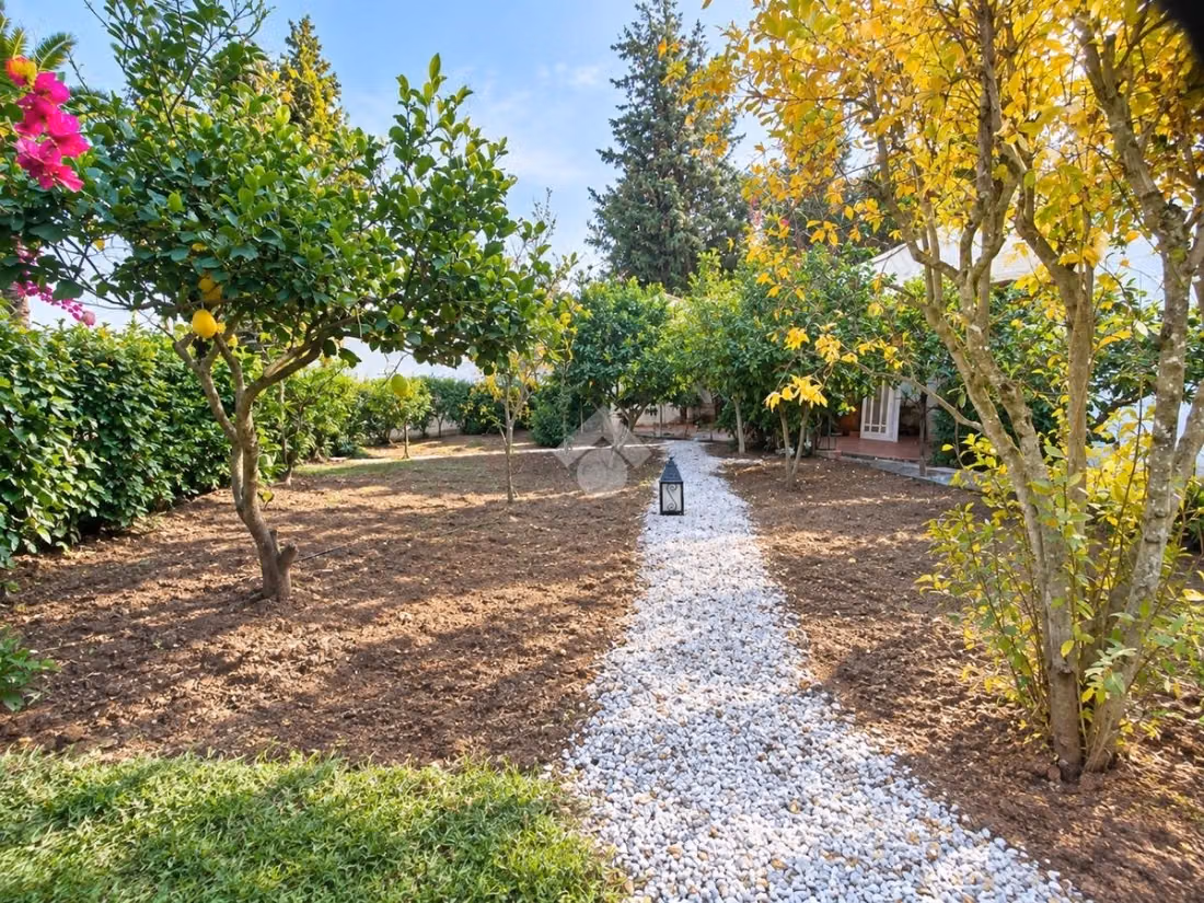Villa individuelle en location
