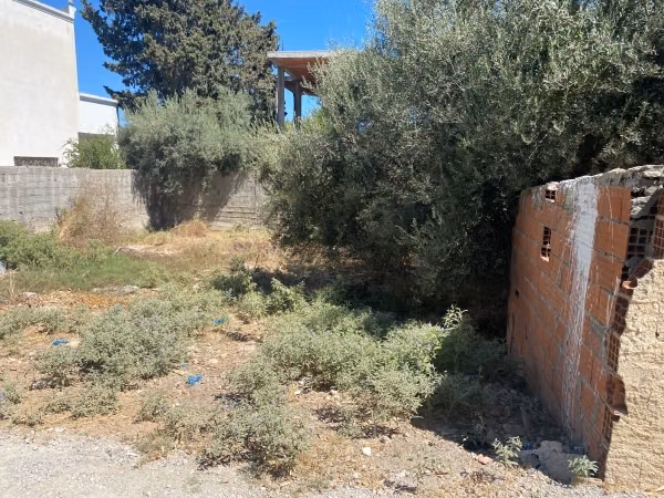 Vente terrain à Mosque Erraoudha. Surface de 250 m²