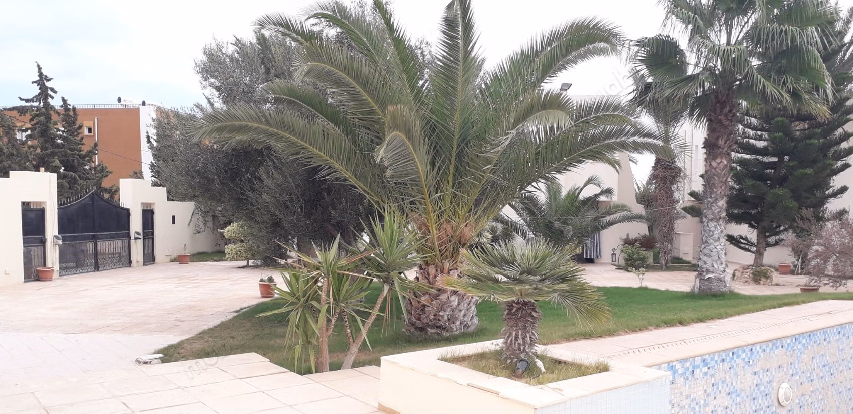 In vendita – proprietà eccezionale a Djerba