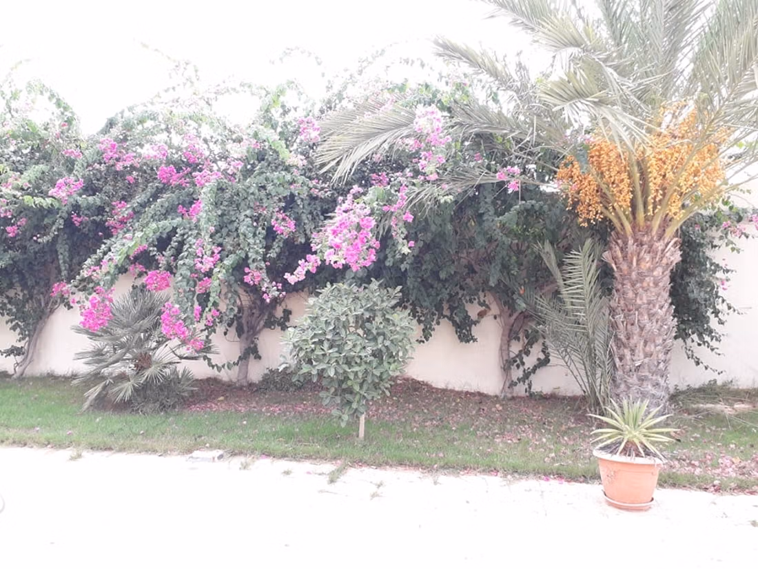 In vendita – proprietà eccezionale a Djerba