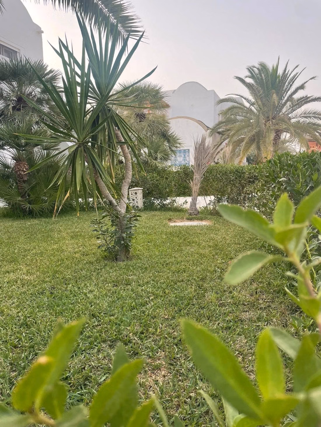 Bungalow appartement à louer djerba aghir 1900 dt