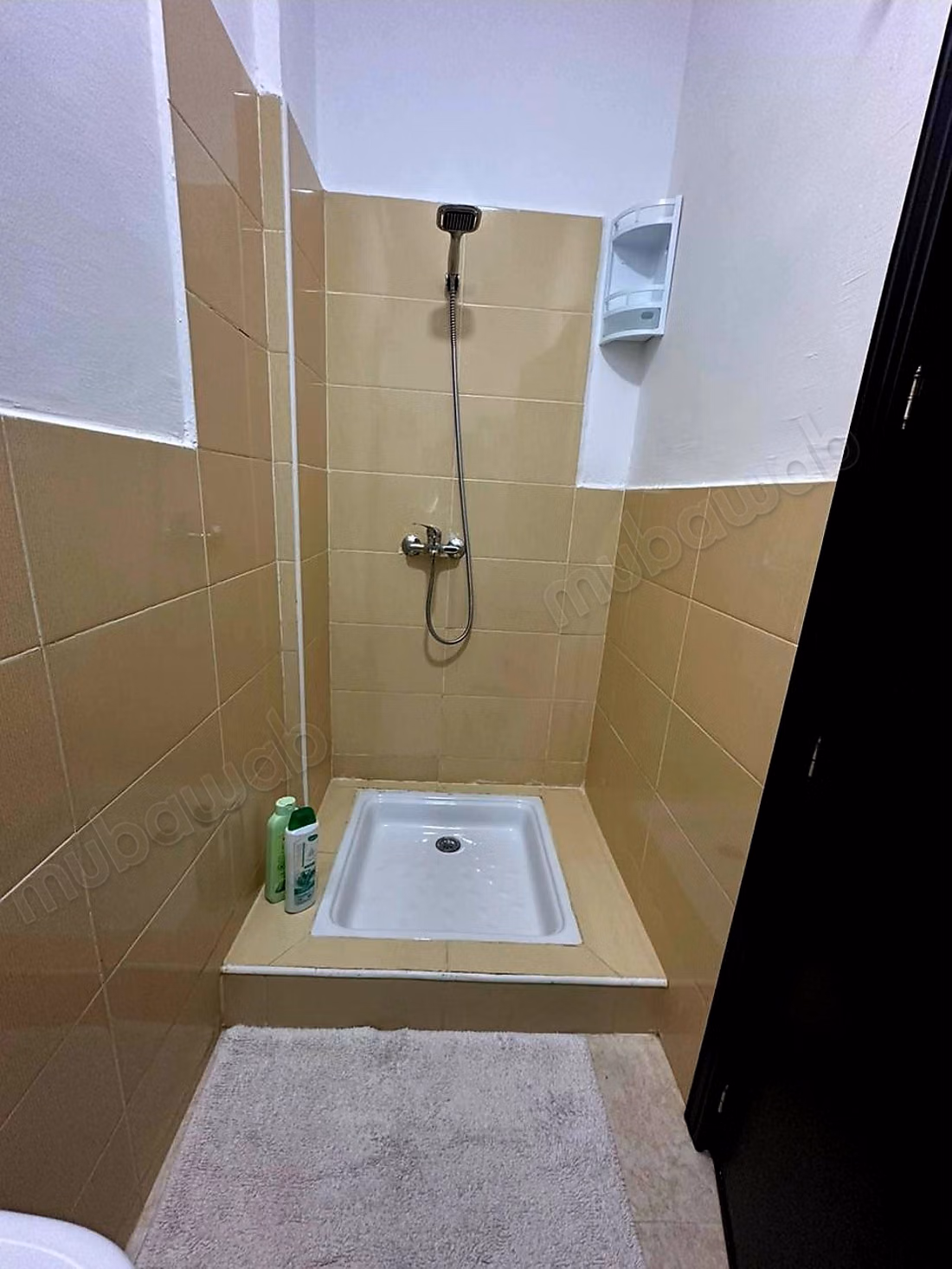 Louer appartement très moderne a gzenaya