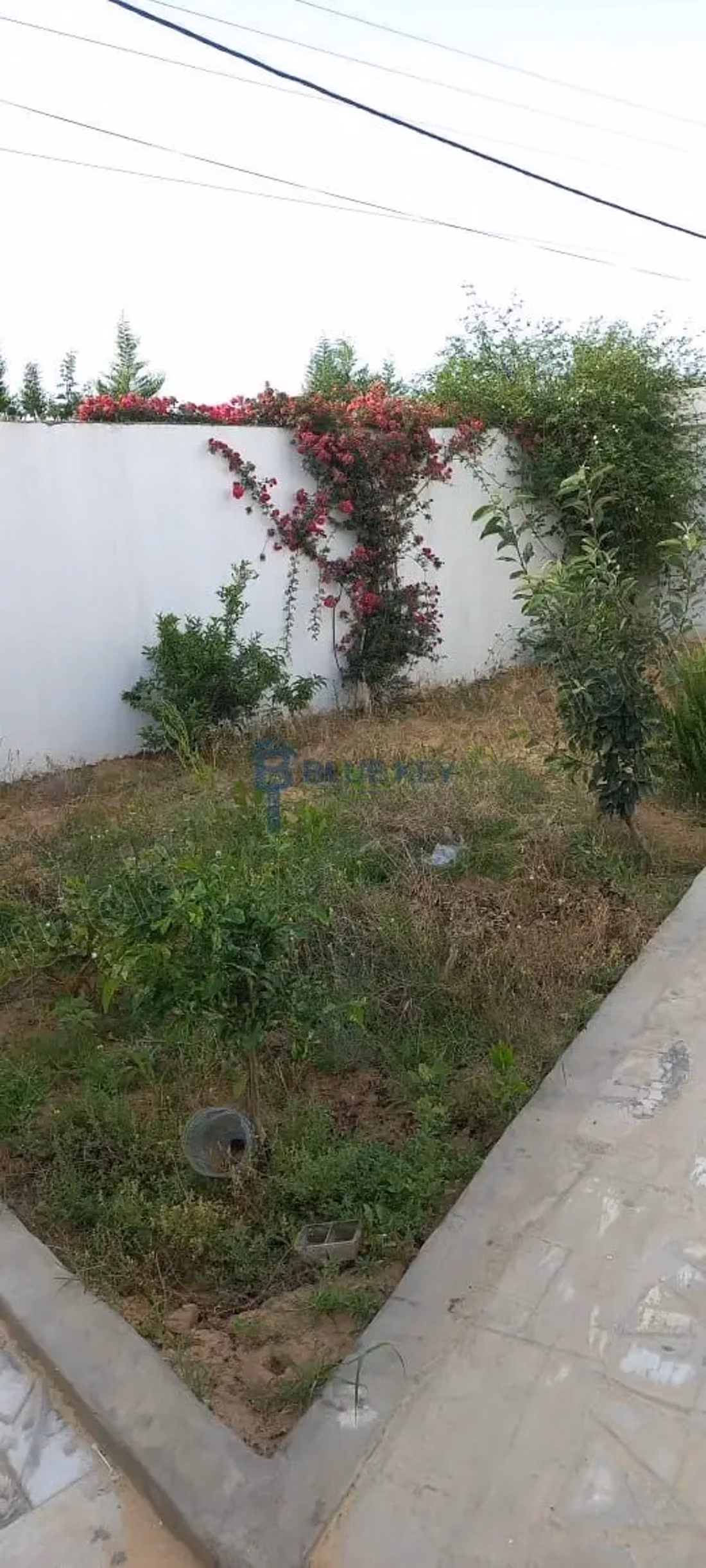 Urgent Sale Large Villa AV in Mhethba Grombalia