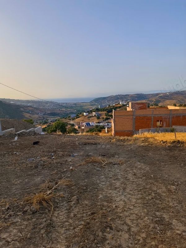 Terrain magnifique à vendre à Ksar El Kebir. Superficie totale 500 m²