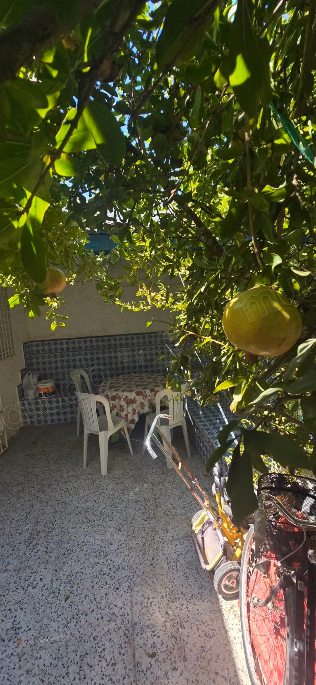 Maison sur mer Dar chaabene Nabeul