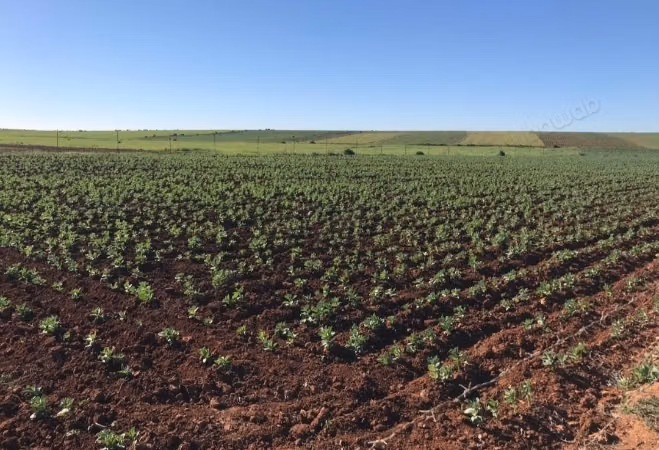 Terreno en venta en Oulad Abbou. Superficie de 15000 m²