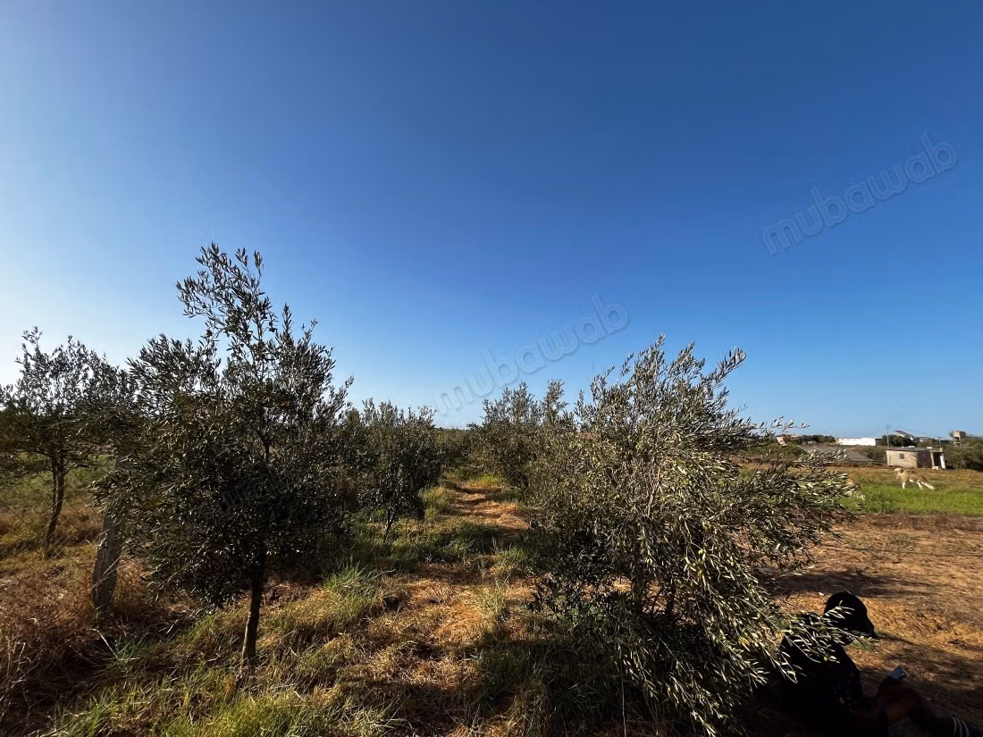 Terrain magnifique à vendre à Ait Malek. Superficie 20000 m²