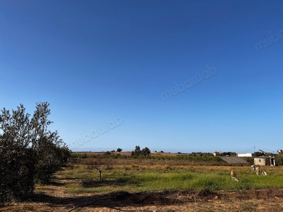 Terrain magnifique à vendre à Ait Malek. Superficie 20000 m²