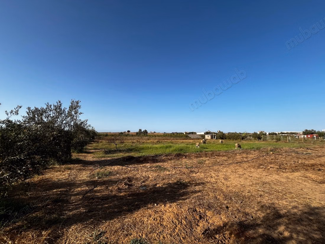 Terrain magnifique à vendre à Ait Malek. Superficie 20000 m²