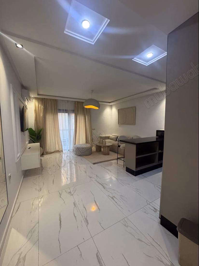 Très bel appartement VICTOR HUGO