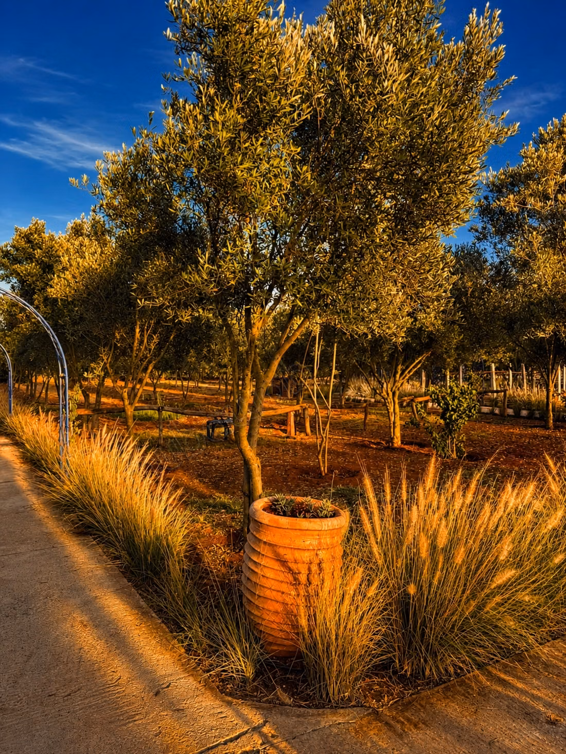 Domaine 1ha, Maison et Projet Potentiel, Benslimane
