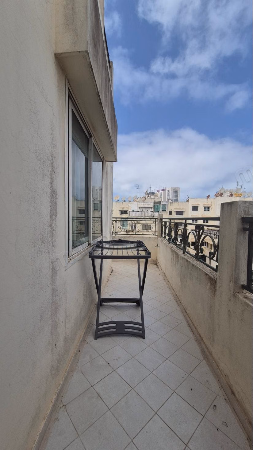 Appartement 254 m² f Palmier — 21