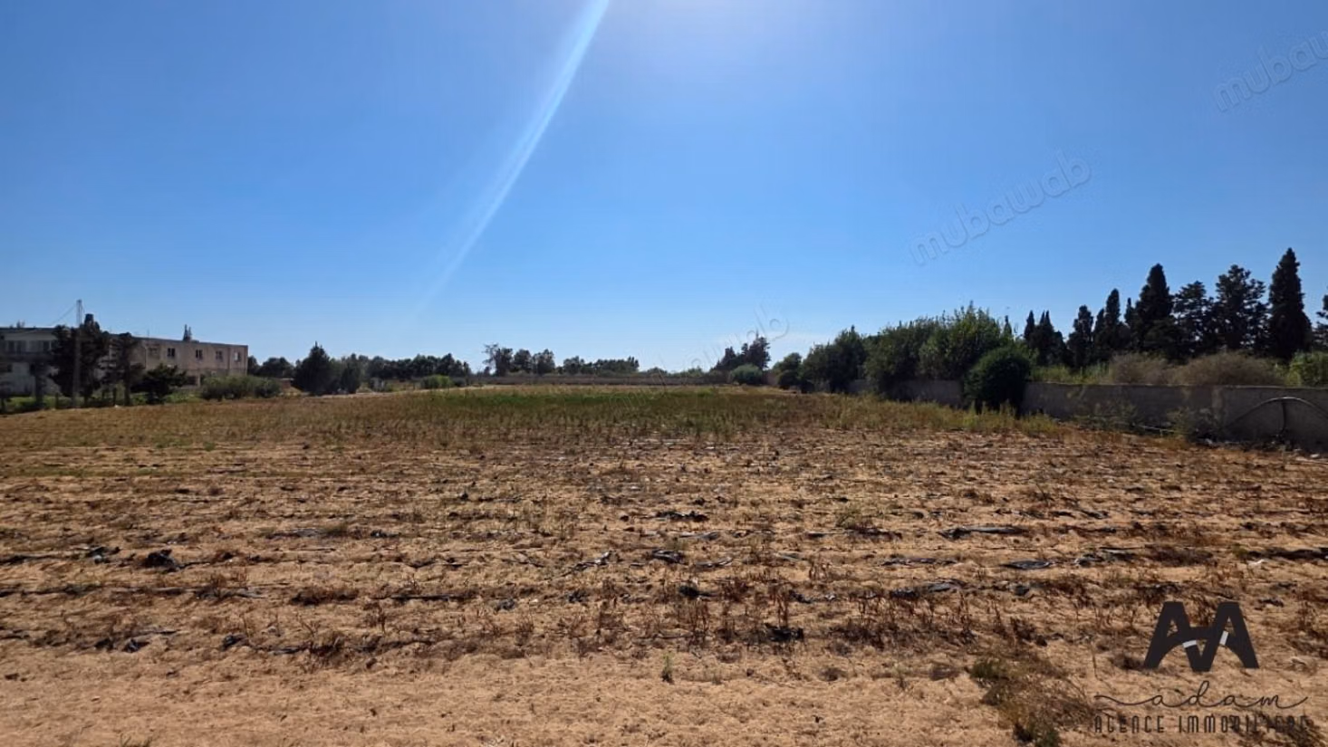 In vendita – deposito e terreno di 10843m² – Tazarka