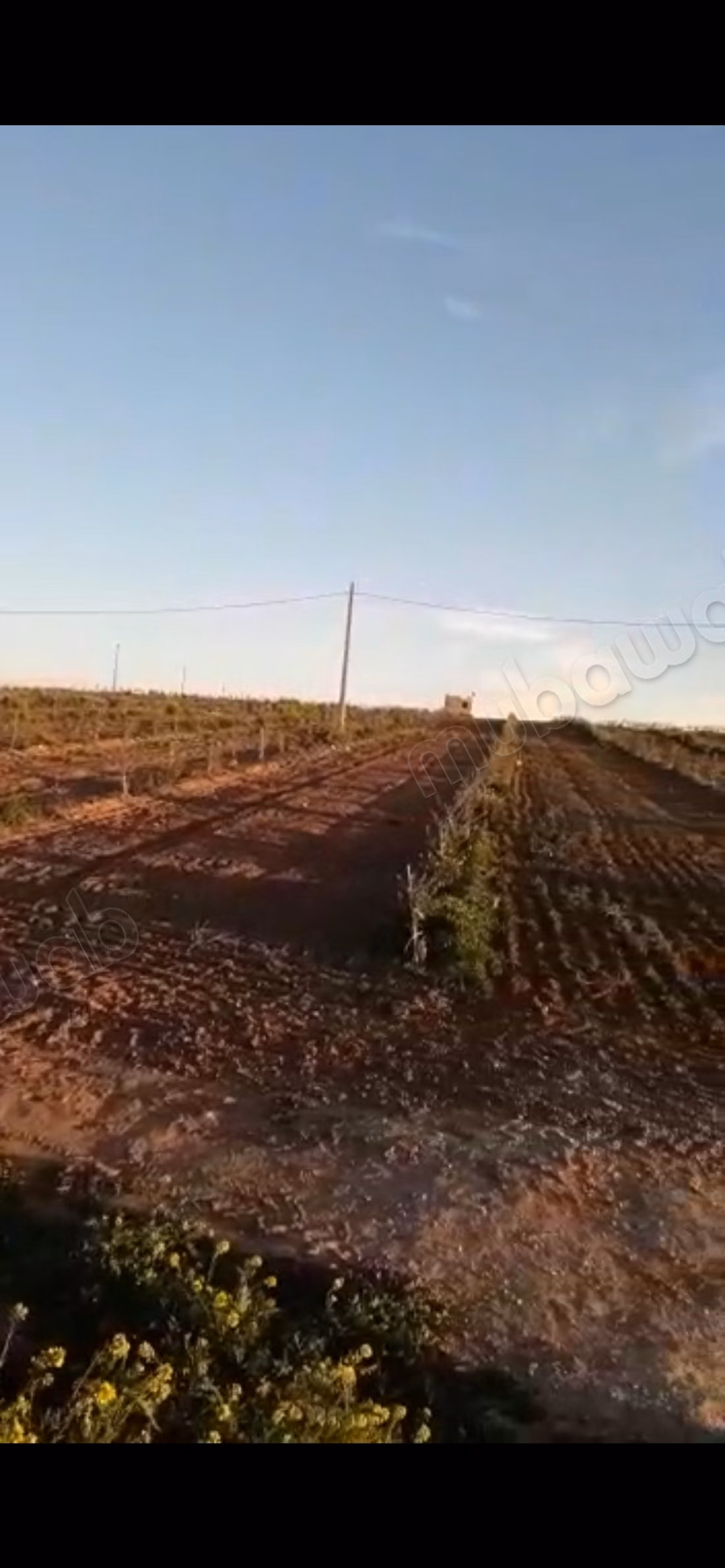 Trouvez votre ferme à acheter. Surface de 100000 m²