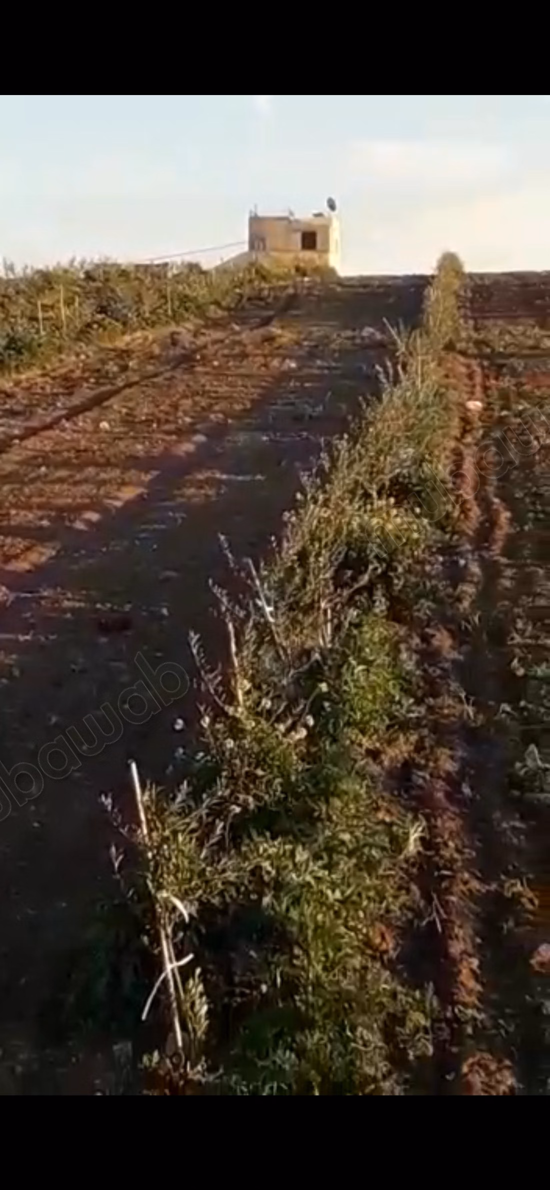 Trouvez votre ferme à acheter. Surface de 100000 m²