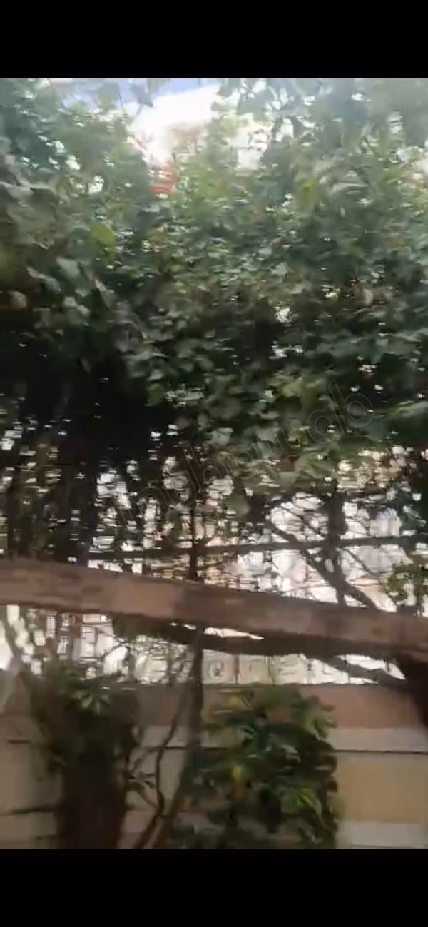 Bonito apartamento en la planta baja amueblado con terraza verde