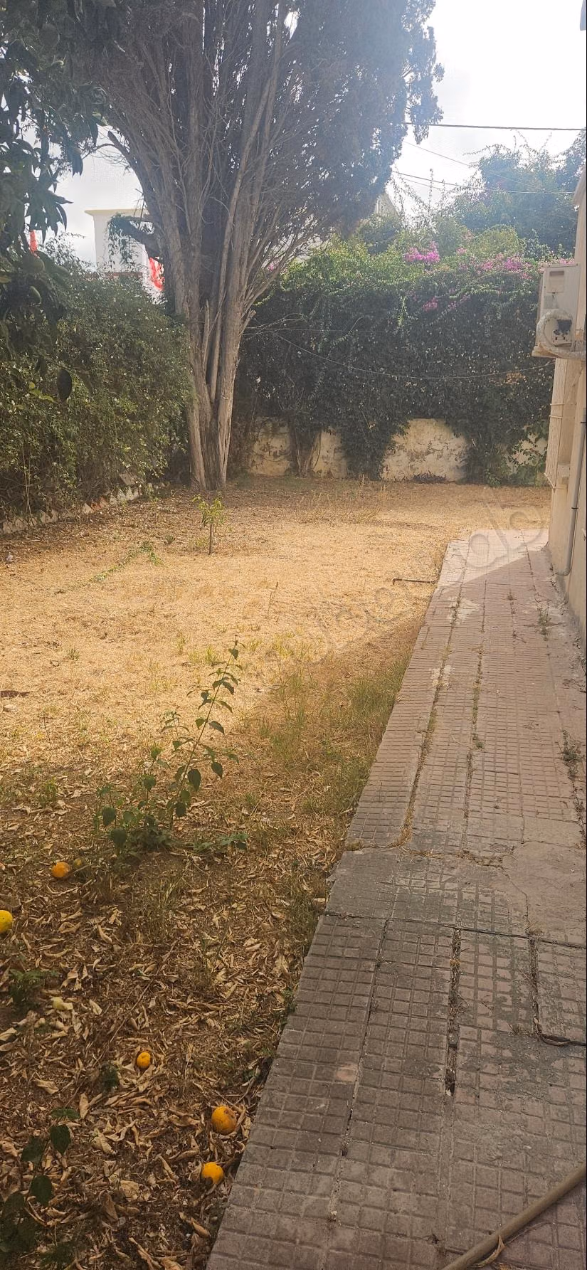 Villa to be destroyed in the heart of the Orangers district