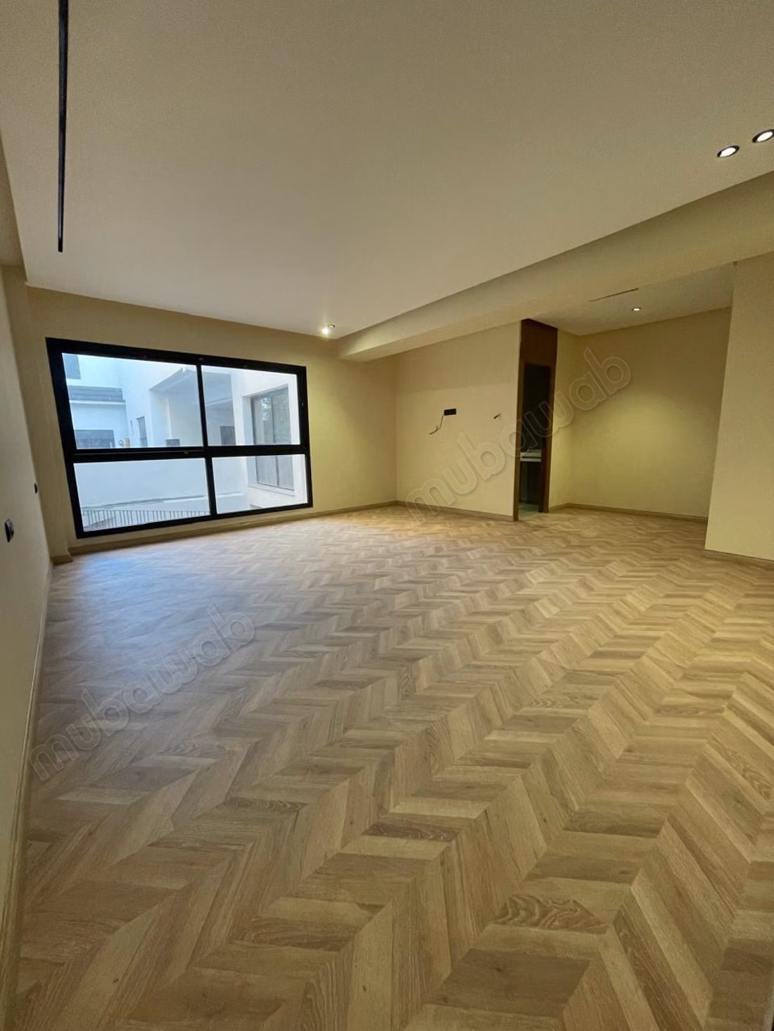 Studio vide anoual