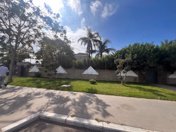 3 villas à vendre pour un investissement immobilier