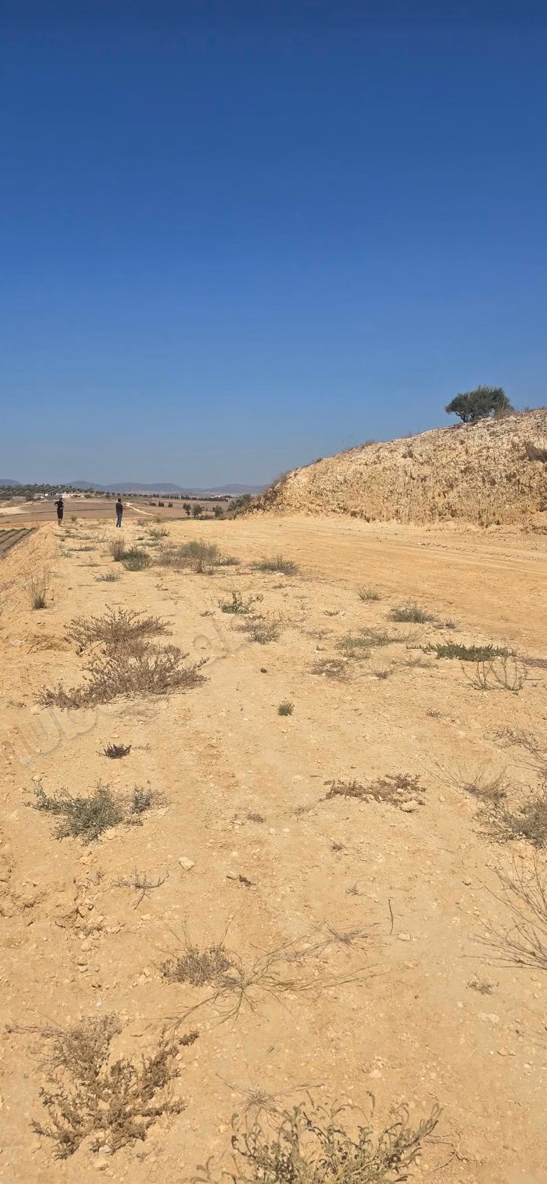 أرض زراعية للبيع في تالوت كوربا نابل