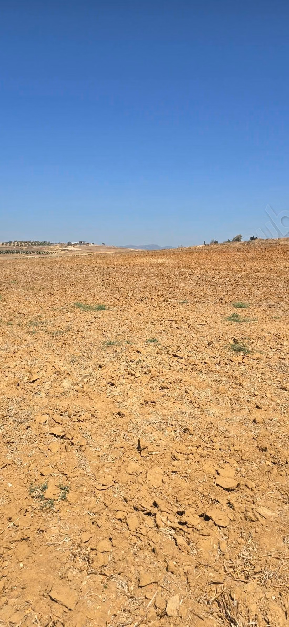 أرض زراعية للبيع في تالوت كوربا نابل