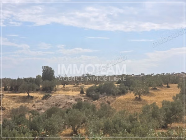 In vendita un terreno agricolo