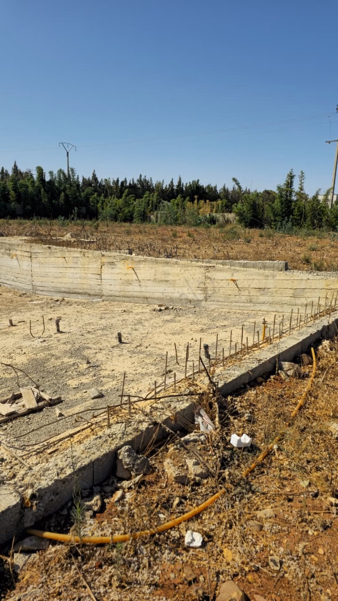 Une opportunité en or pour investir 2 hectares