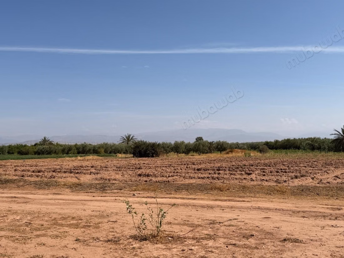 Perceel 18.000 m² – Atlaszicht op 20 km van Marrakech