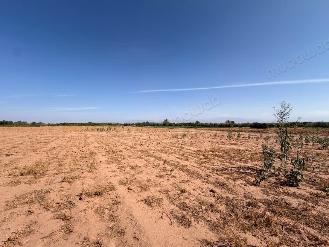 Perceel 18.000 m² – Atlaszicht op 20 km van Marrakech