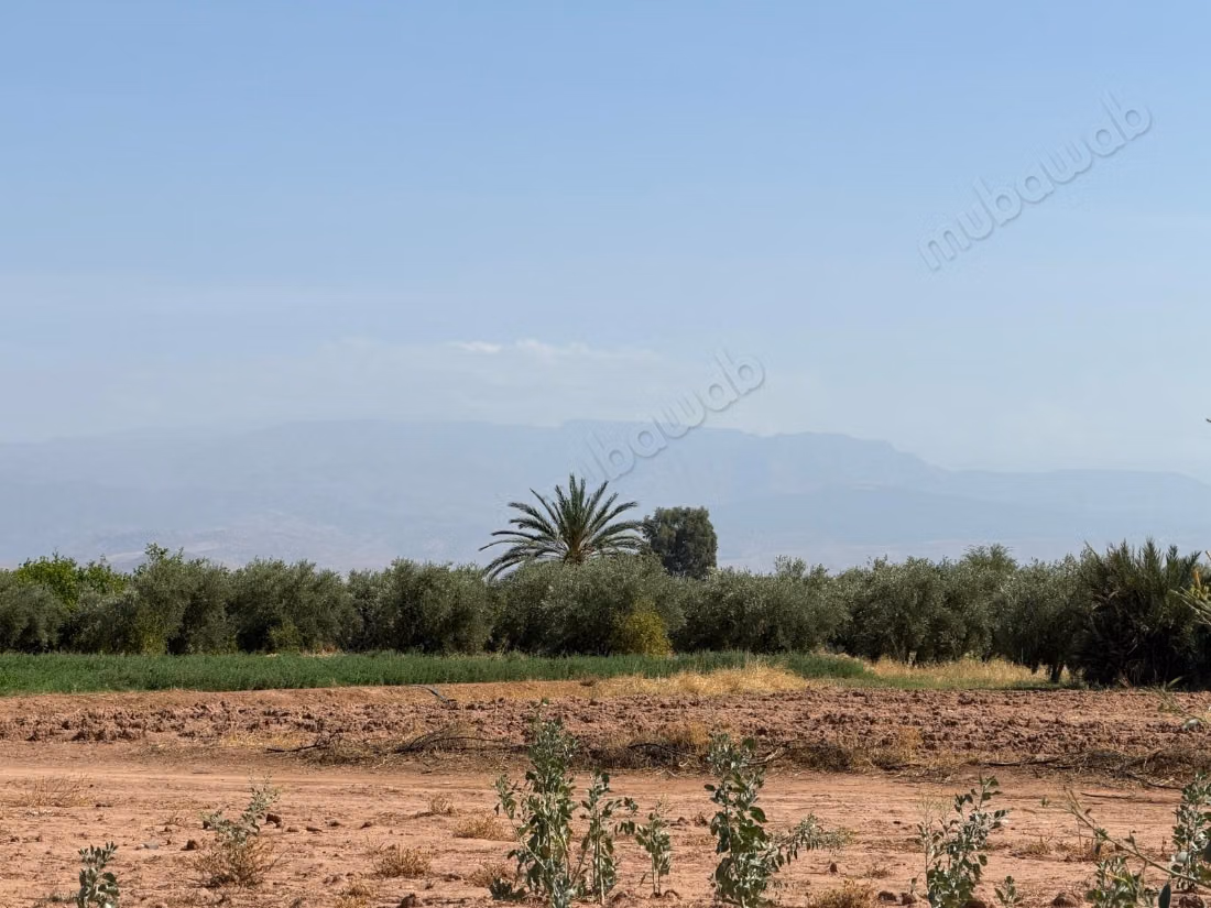 Perceel 18.000 m² – Atlaszicht op 20 km van Marrakech