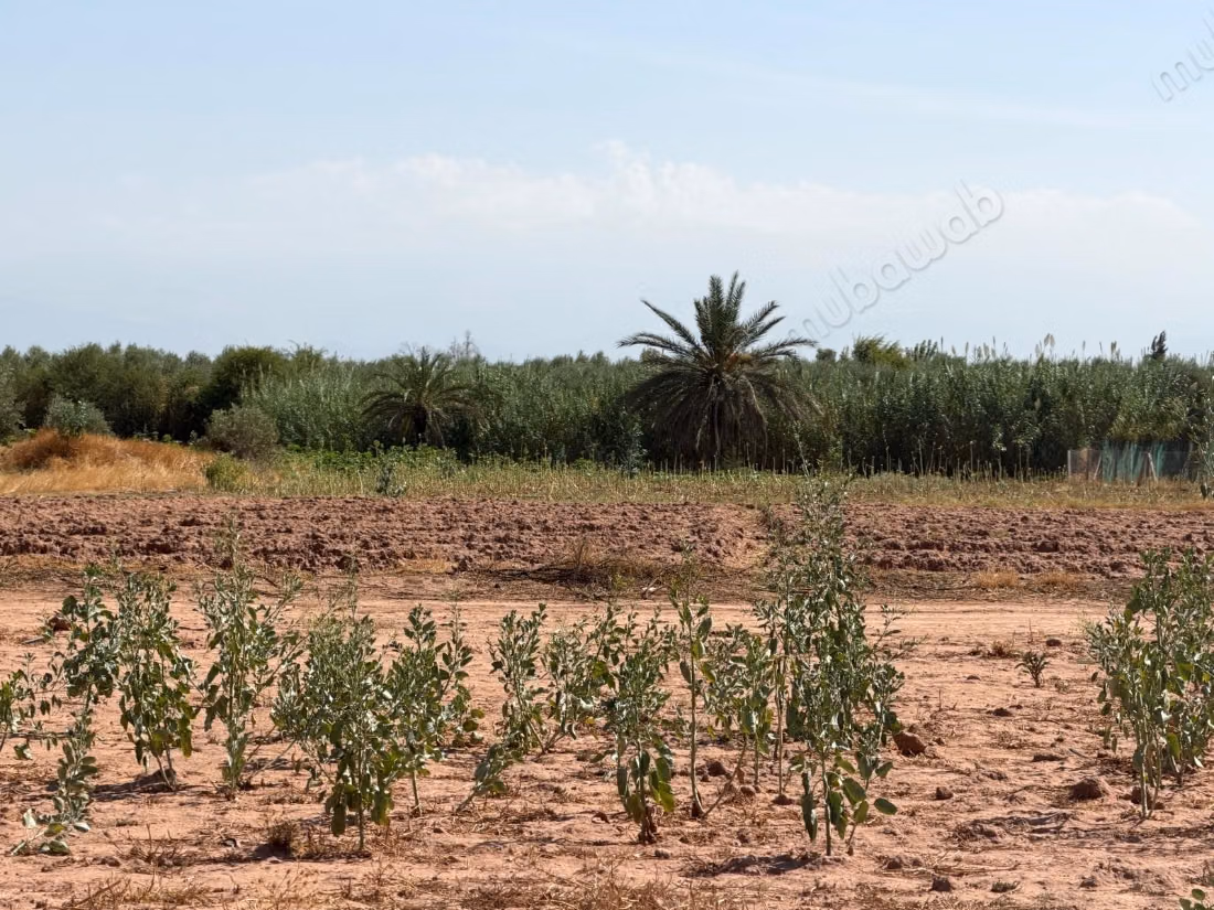 Perceel 18.000 m² – Atlaszicht op 20 km van Marrakech