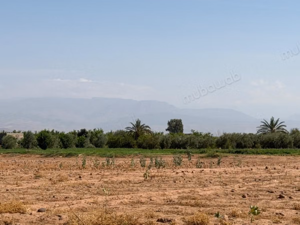Terrain 18 000 m² – Vue Atlas à 20 km de Marrakech